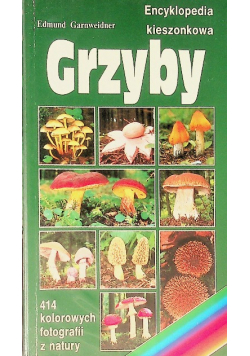 Grzyby