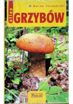 Atlas grzybów