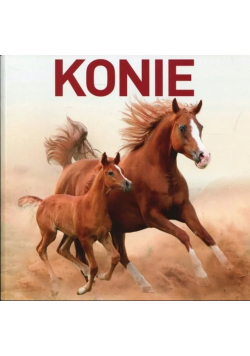 Konie