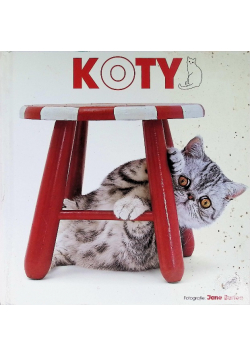 Koty
