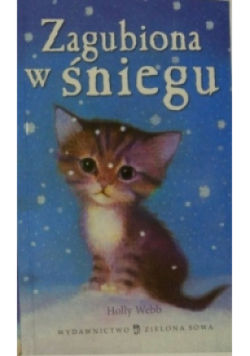 Zagubiona w śniegu
