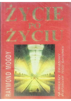 Życie po życiu