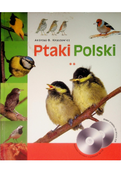 Ptaki Polski