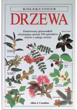 Drzewa