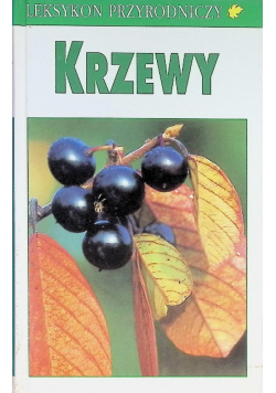 Krzewy