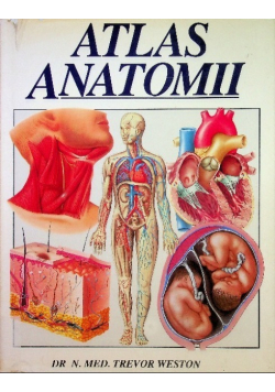 Atlas anatomii