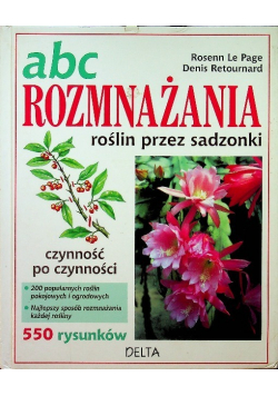 ABC rozmnażania roślin przez sadzonki