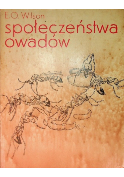 Społeczeństwa owadów