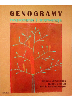 Genogramy Rozpoznanie i interwencja