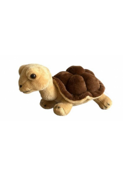 Żółw lądowy brązowy 20cm