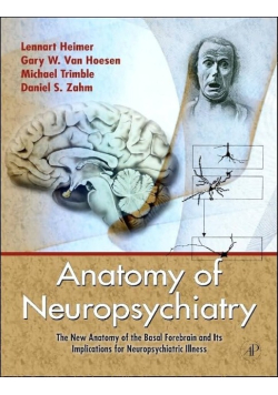 Anatomy of Neuropsychiatric Disorders: The New Anatomy of the Basal Forebrain and Its Implications for Neuropsychiatric Illness