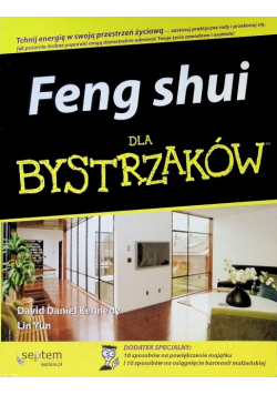 Feng shui dla bystrzaków