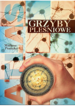 Grzyby pleśniowe