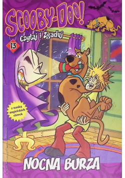 Scooby Doo nocna burza