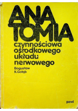 Anatomia czynnościowa ośrodkowego układu nerwowego