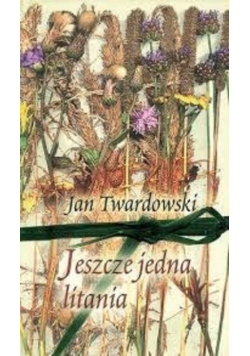 Jeszcze jedna litania