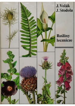 Rośliny lecznicze