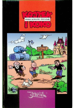 Kajtek i Koko poszukiwany zyg-zak