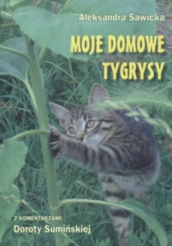 Moje domowe tygrysy