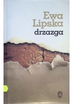 Drzazga