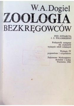 Zoologia bezkręgowców