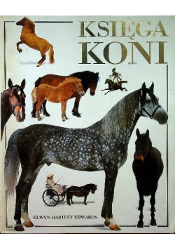 Księga koni
