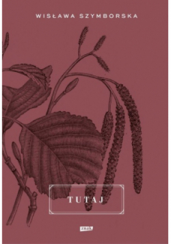 Tutaj