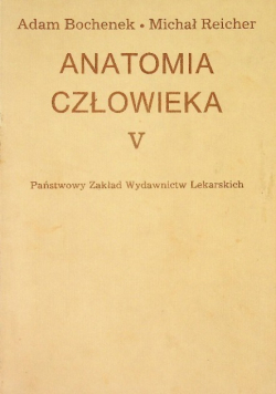 Anatomia człowieka