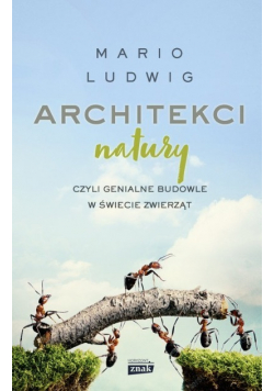 Architekci natury czyli genialne budowle w świecie zwierząt