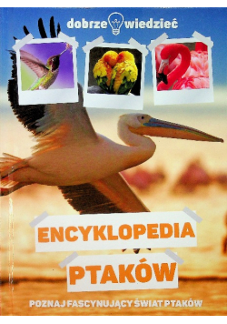 Dobrze wiedzieć Encyklopedia ptaków