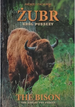 Żubr Król Puszczy