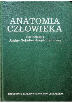Anatomia człowieka