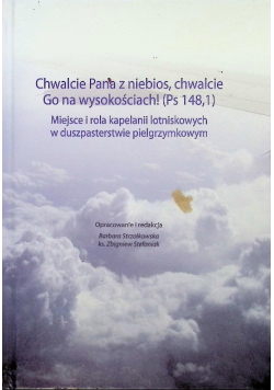 Miejsce i rola kapelanii lotniskowych w duszpasterstwie pielgrzymkowym