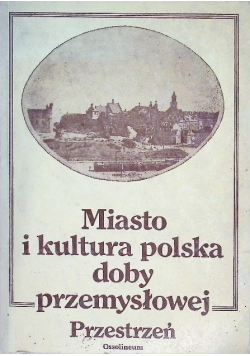 Miasto i kultura polska doby przemysłowej Przestrzeń