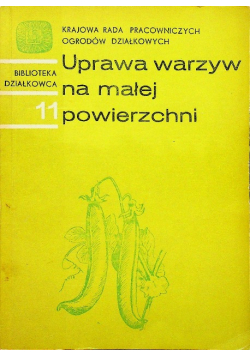 Uprawa warzyw na małej powierzchni