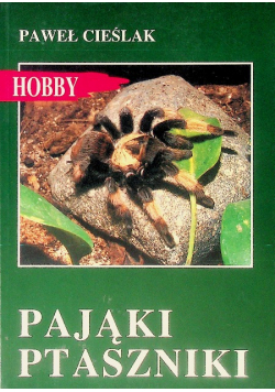 Pająki ptaszniki