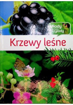Krzewy leśne