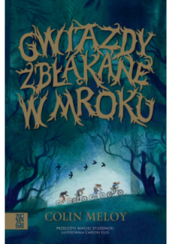 Gwiazdy zbłąkane w mroku