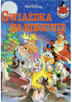 Gwiazdka na biegunie