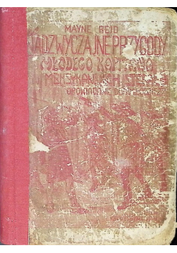 Nadzwyczajne przygody młodego kapitana na meksykańskich stepach 1930 r.