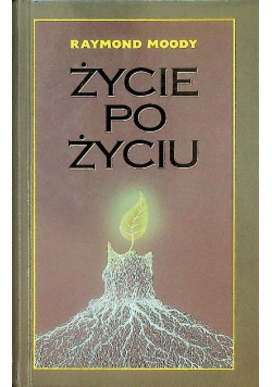 Życie po życiu