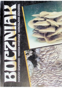 Boczniak