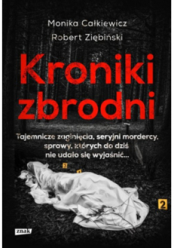 Kroniki zbrodni Tajemnicze zaginięcia