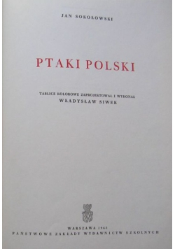 Ptaki Polski