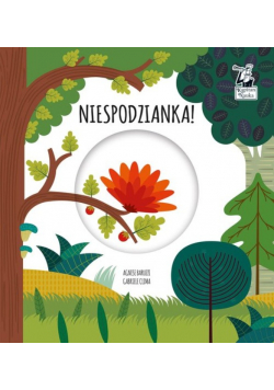 Niespodzianka Magiczne koło Kapitan Nauka