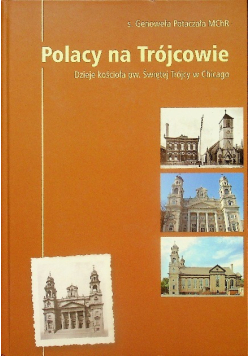 Polacy na Trójcowie