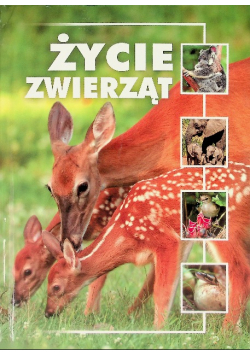 Życie zwierząt