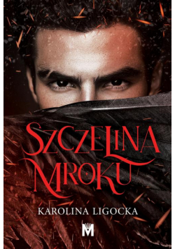 Szczelina mroku