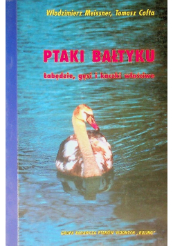 Ptaki Bałtyku łabędzie gęsi i kaczki właściwe