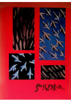 Jacek Sroka